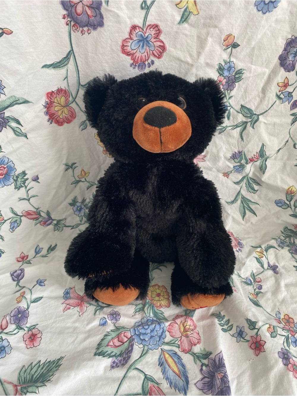 Plush Black Bear with Brown Accents - Soft Stuffed Animal